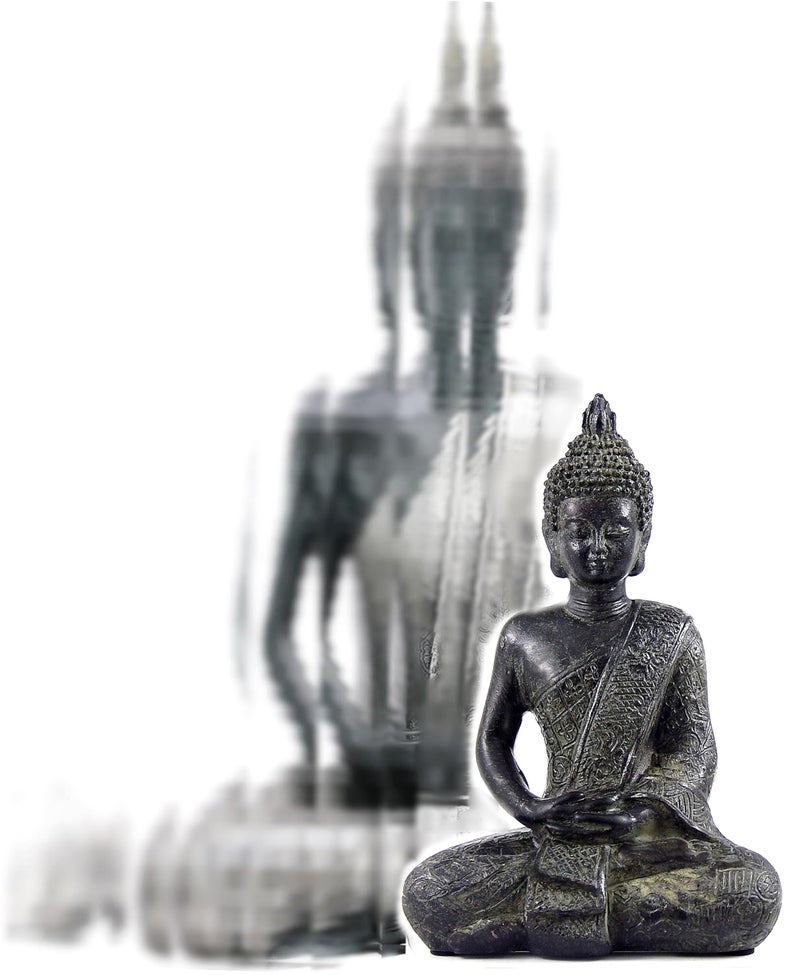 Bellaa Black Buddha Statue Enlightenment Meditation Dhyana Mudra Sitting Blessing Goodluck Happy Collectibles Figurines Sculpture Living Room Outdoor Garden Patio - Image 1